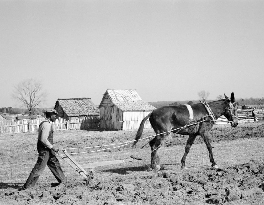 Plowing at Gee’s Bend